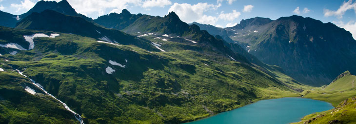 Экология Экология